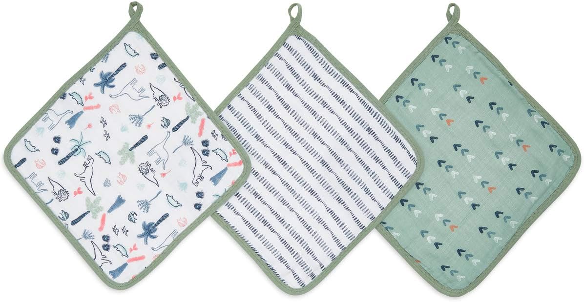 Aden + Anais Scrub Cotton Muslin Set of Three Washcloths dinotime