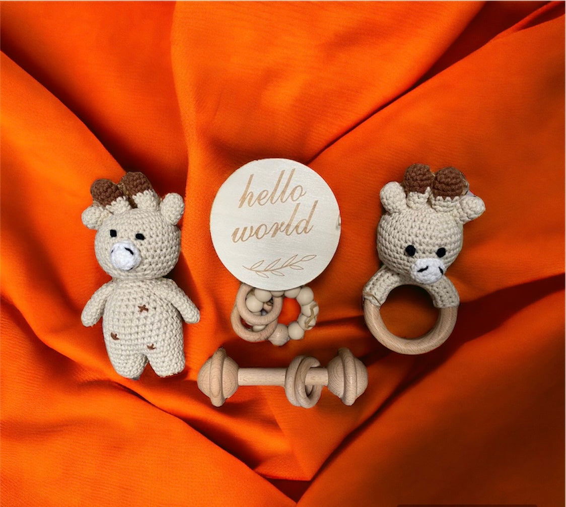Giraffe Baby Gift Box