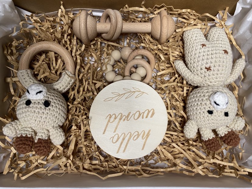 Giraffe Baby Gift Box