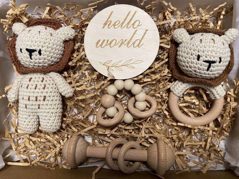 Lion Baby Gift Box