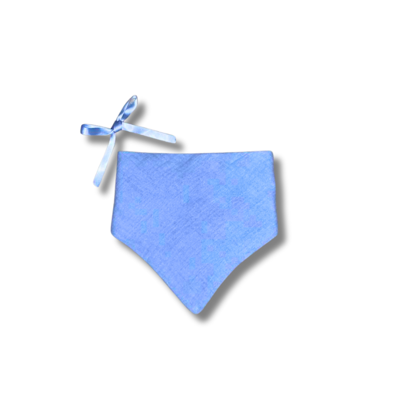 Bandana Bib - Blue